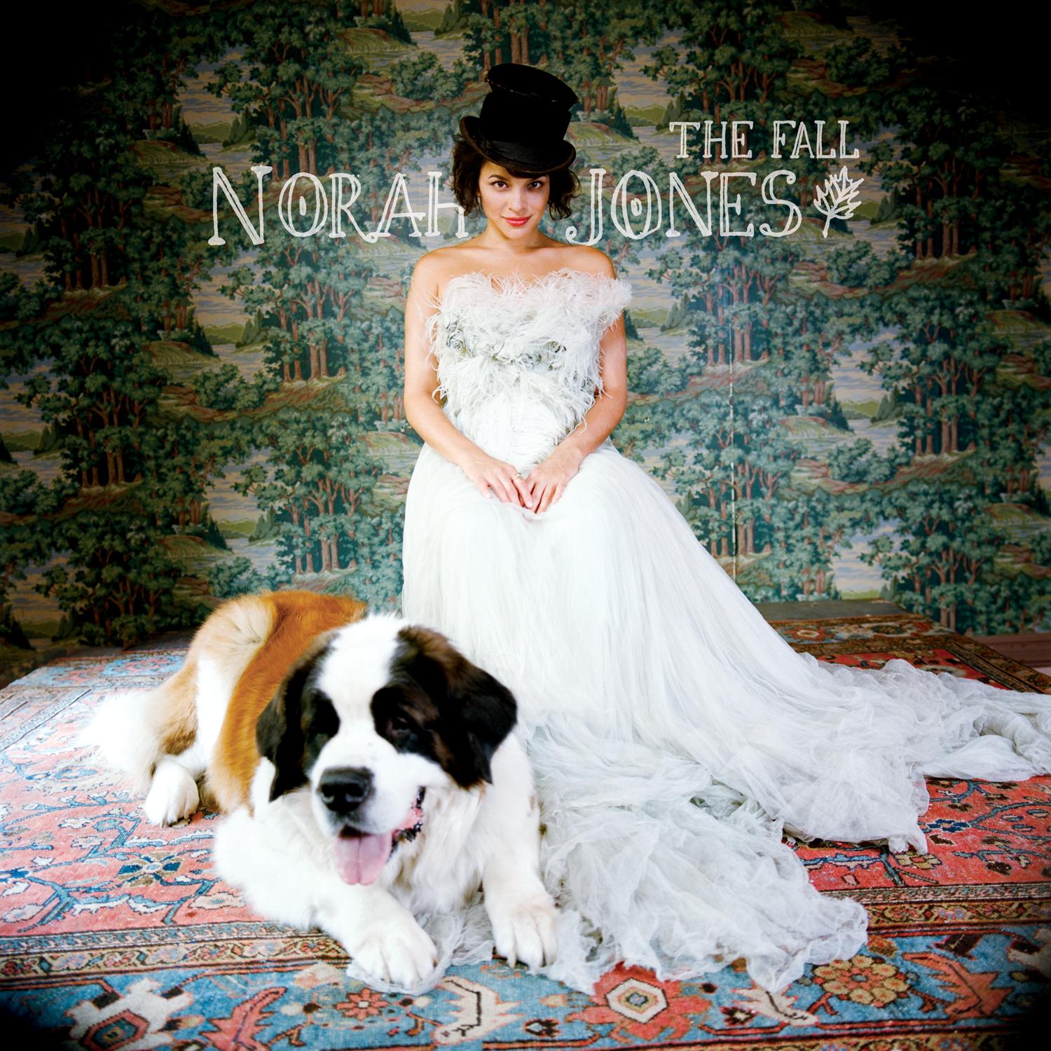 la cover dell'album di Norah Jones